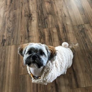 Meet your Posher, Daisy